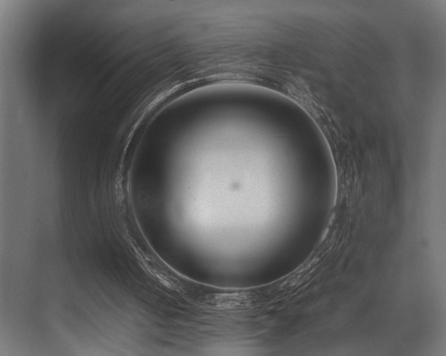 X0000075360050200609081226