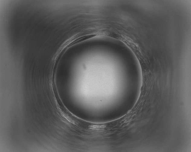 X0000075360051200609081226