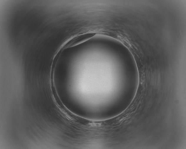 X0000075360052200609081226