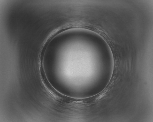 X0000075360054200609081226