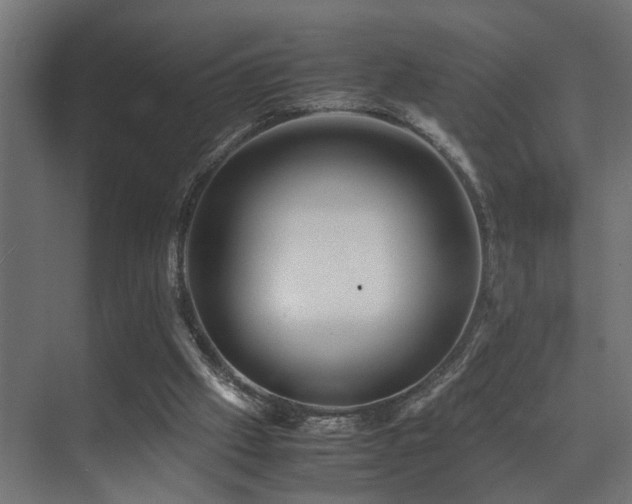 X0000075360057200609081226