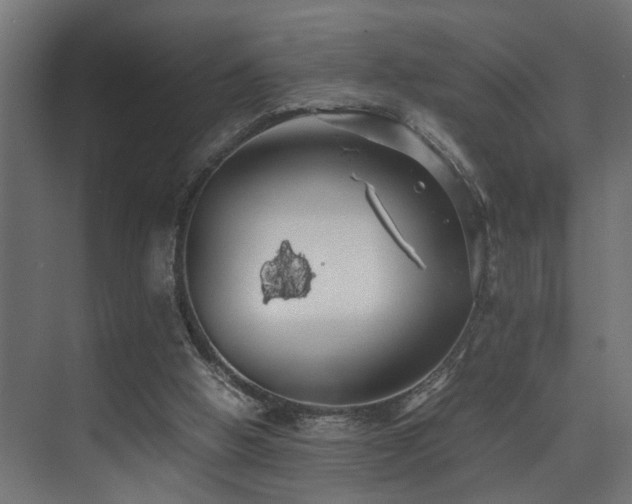 X0000075360058200609081226