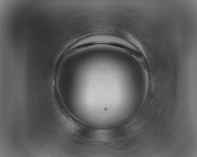 X0000075360059200609081226