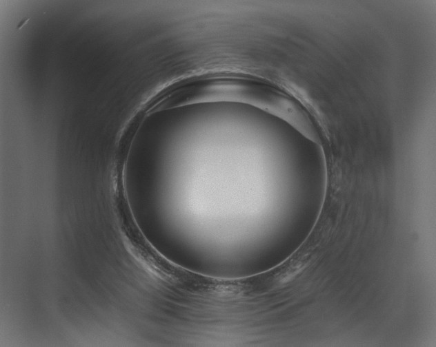 X0000075360060200609081226