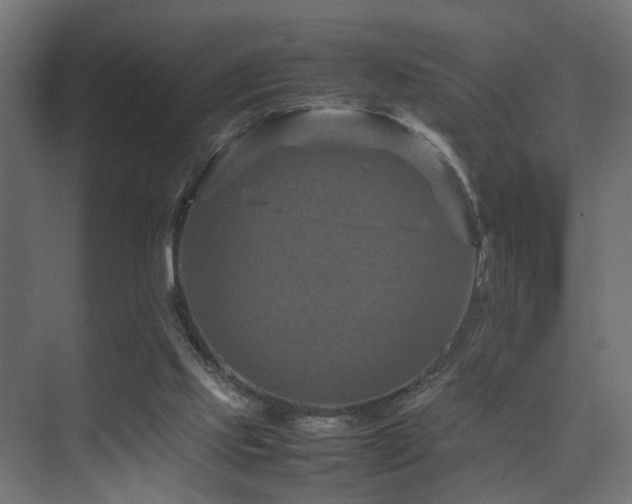 X0000075360061200609081226