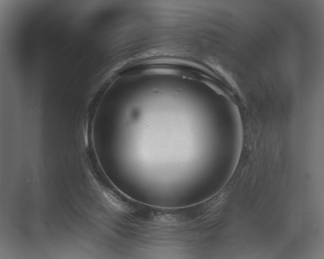 X0000075360062200609081226