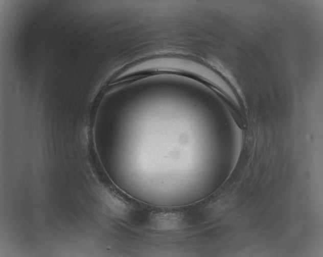 X0000075360063200609081226