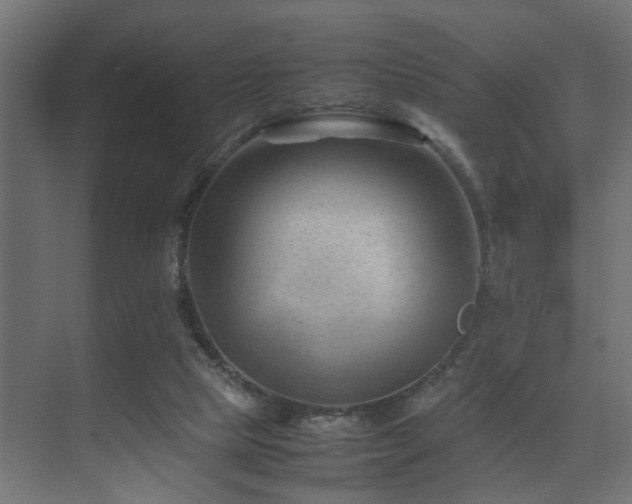 X0000075360065200609081226