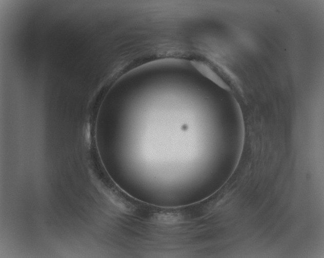 X0000075360067200609081226