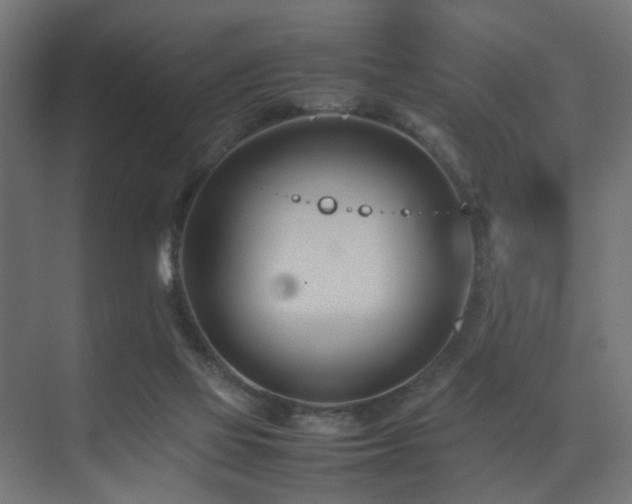 X0000075360069200609081226