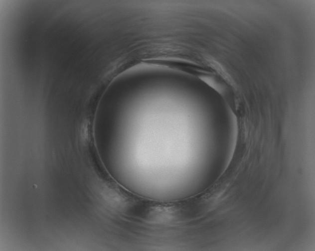 X0000075360071200609081226