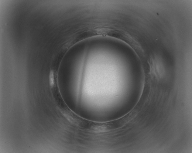 X0000075360075200609081226