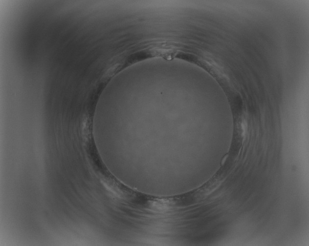 X0000075360079200609081226