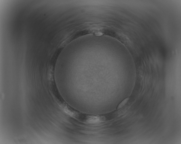 X0000075360083200609081226