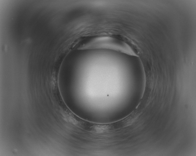 X0000075360085200609081226