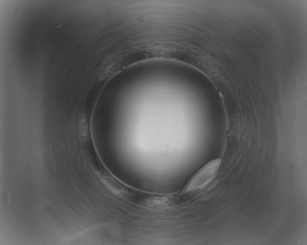 X0000075360086200609081226