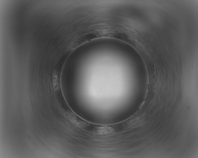 X0000075360087200609081226