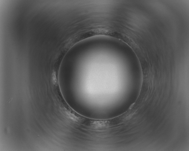 X0000075360089200609081226