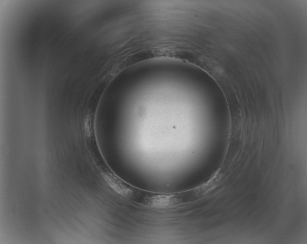 X0000075360090200609081226