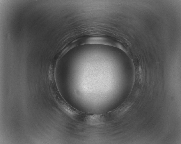 X0000075360092200609081227