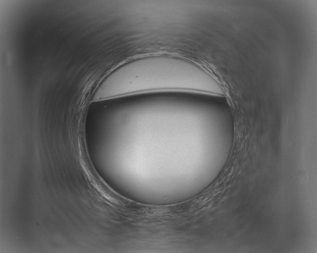 X0000075360097200609081226