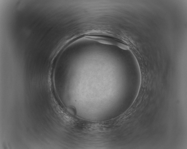 X0000075360098200609081226