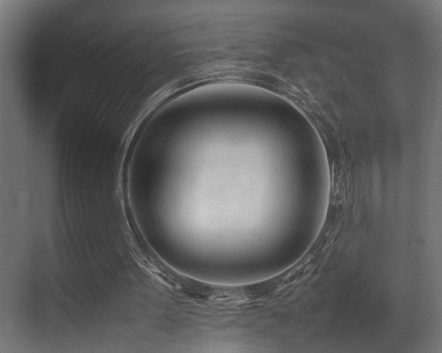 X0000075360099200609081226