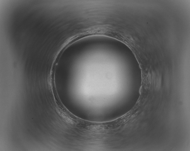 X0000075360100200609081226