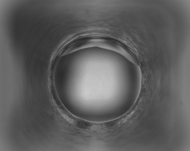 X0000075360101200609081226