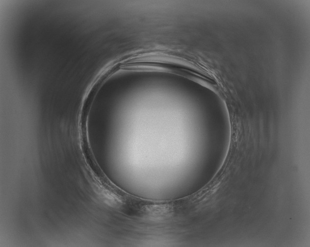 X0000075360102200609081226