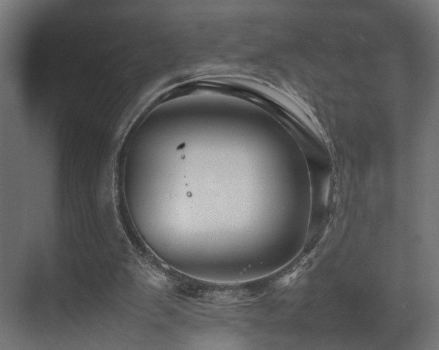 X0000075360103200609081226