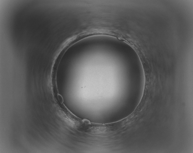 X0000075360104200609081226