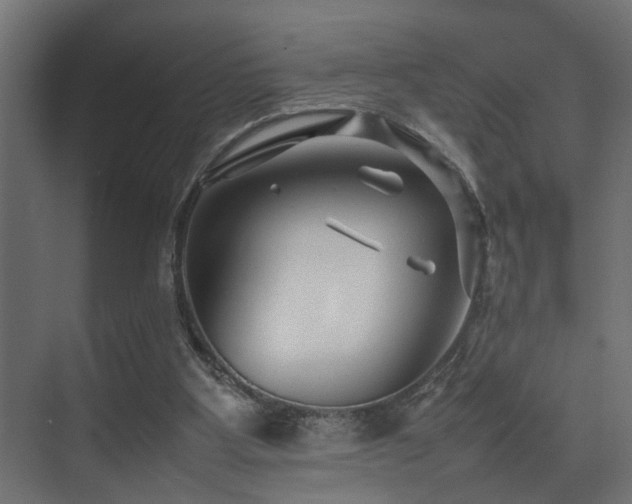 X0000075360107200609081226