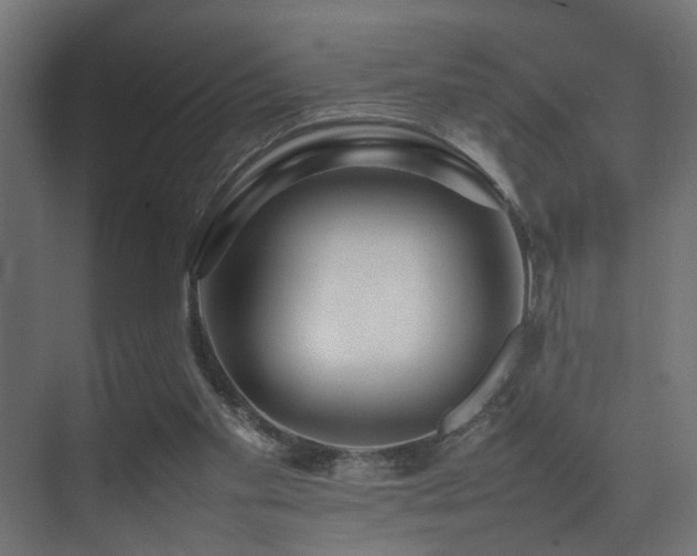 X0000075360109200609081226