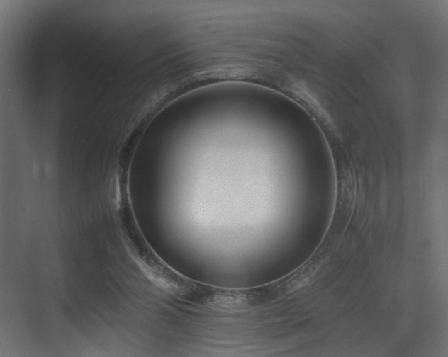 X0000075360110200609081226