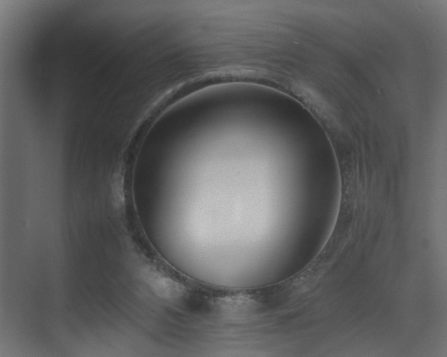 X0000075360112200609081226