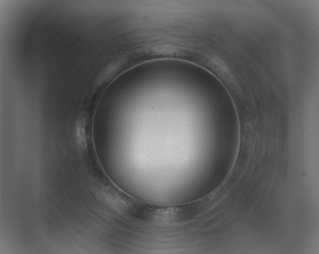 X0000075360116200609081225