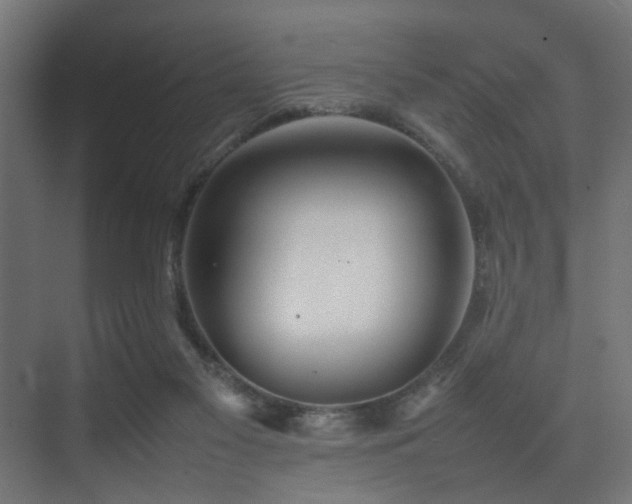 X0000075360117200609081225