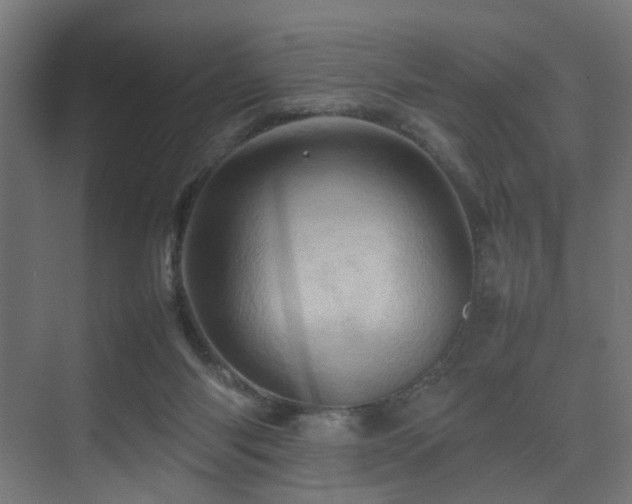 X0000075360118200609081225