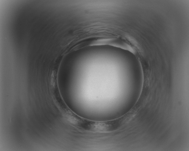 X0000075360121200609081225