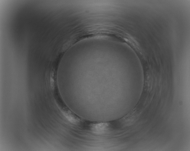 X0000075360122200609081225