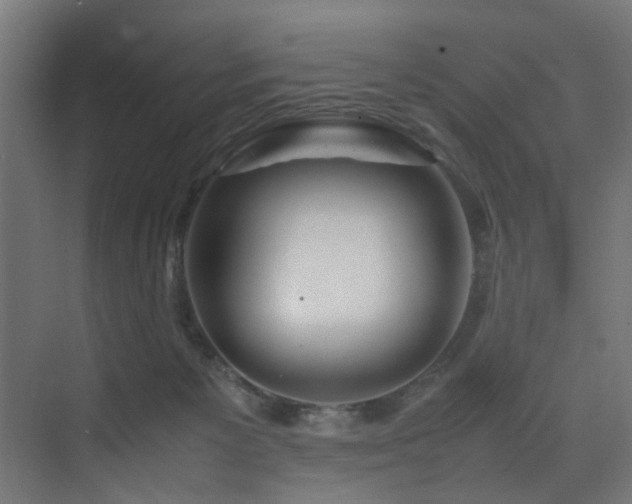 X0000075360125200609081225