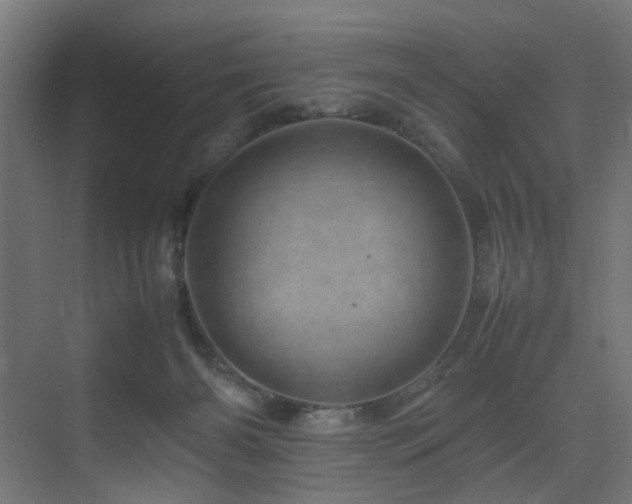 X0000075360126200609081225