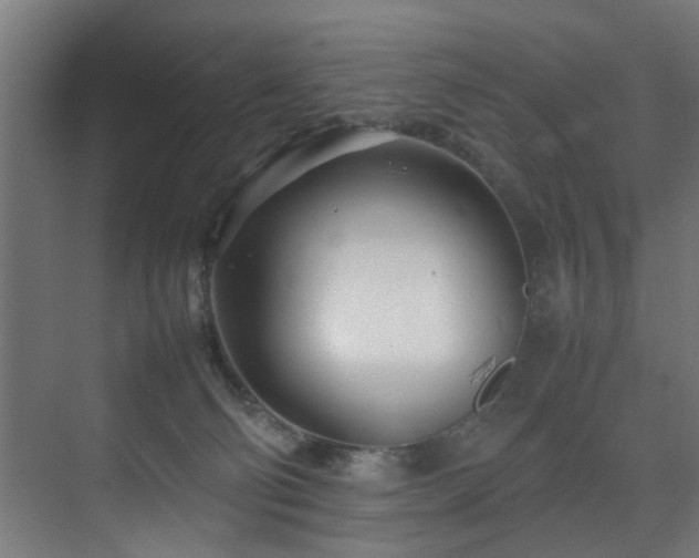 X0000075360130200609081225