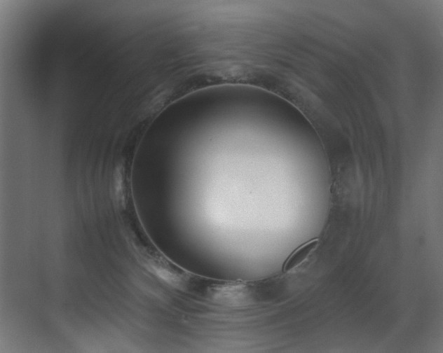 X0000075360132200609081225