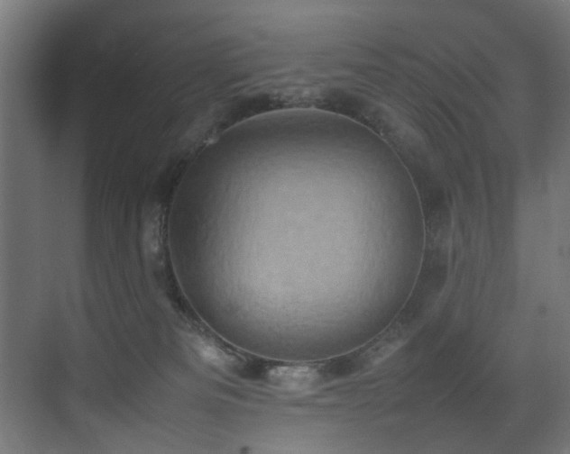 X0000075360133200609081225