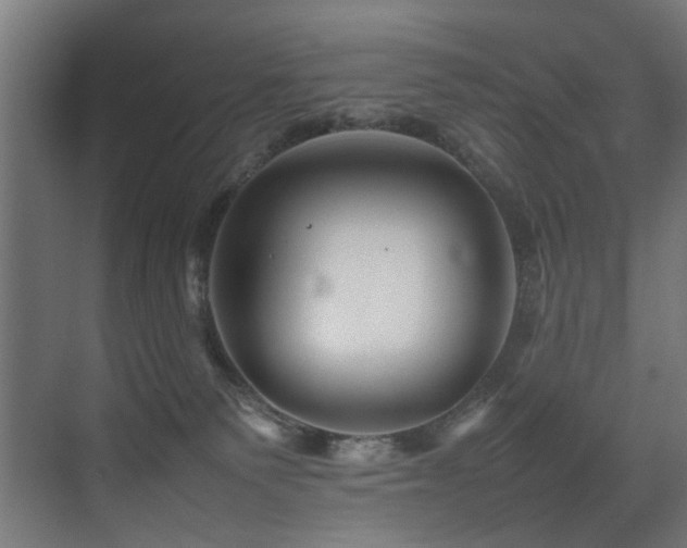 X0000075360135200609081225