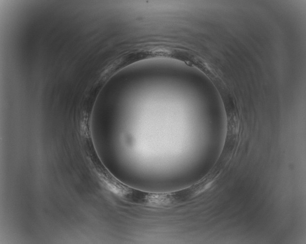 X0000075360141200609081225