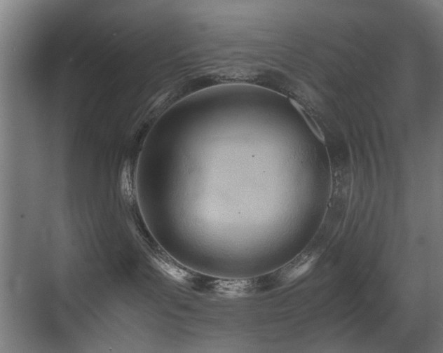 X0000075360143200609081225