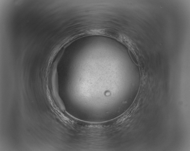 X0000075360145200609081224